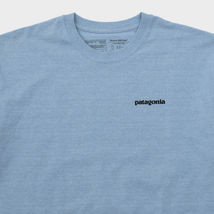 良好 廃版カラー Patagonia パタゴニア M’s P-6 Logo Responsibili Tee Tシャツ レスポンシビリティー ブレイクアップブルー size.M_画像4