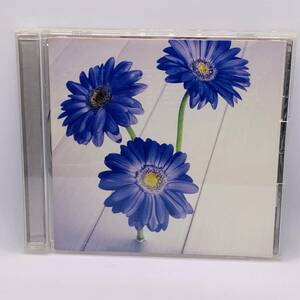 513 [CD]SISTER K /DEPARTURES # все 13 искривление сбор CD альбом Komuro Tetsuya искривление покрытие 