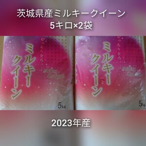 茨城県産ミルキークイーン白米10キロ（5キロ×2袋）