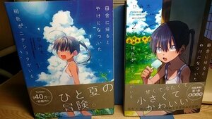 送料無料　田舎に帰るとやけになついた褐色ポニテショタがいる　全4巻　びみ太