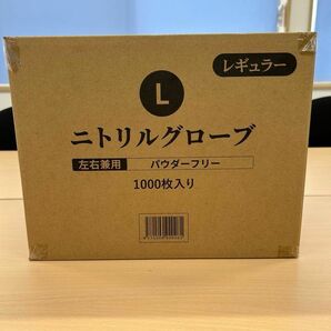 ニトリル手袋 Lサイズ 1000枚入り 100枚／箱×10箱 丸紅テクノラバー パウダーフリー 粉なし ニトリルグローブ