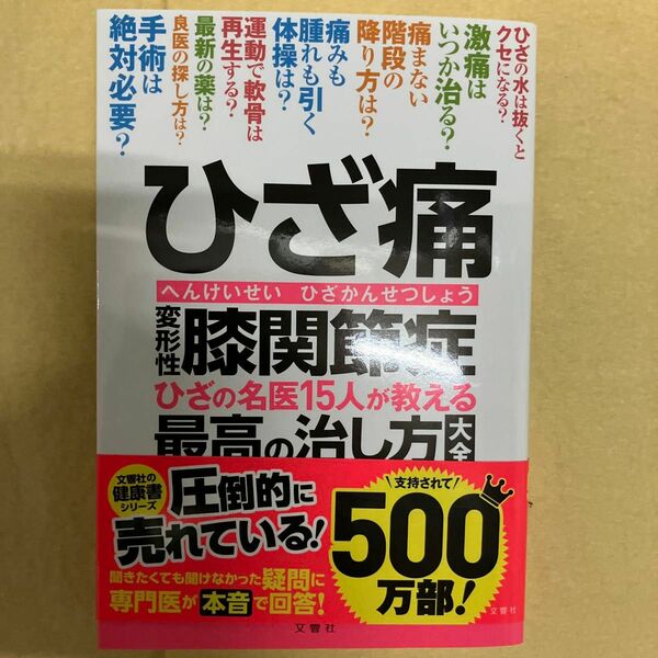 ひざ痛 変形性膝関節症 ひざの名医15人が教える最高の治し方大全 聞きたくても聞けなかった137問に専門医が本音で回答 (健康実用