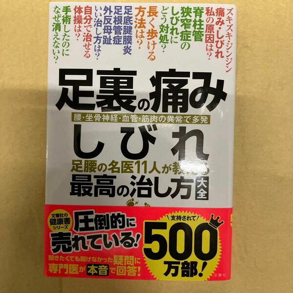 足裏の痛みしびれ 足腰の名医11人が教える 最高の治し方大全 聞きたくても聞けなかった124問に専門医が本音で回答! (健康実用)