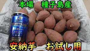 【本場種子島産】安納芋紅1キロ ２Sサイズ 完熟！【お試し用】