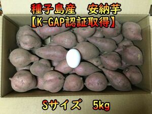 【本場種子島産】安納芋紅Sサイズ　5キロ　ねっとり！完熟！【K-GAP取得】