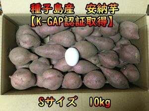 【本場】ねっとり！完熟！安納芋紅Sサイズ　10キロ【種子島産】