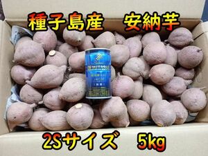 [ genuine ]..!....! cheap . corm .2S 5 kilo [ seeds island production ]