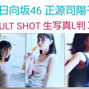 日向坂46 正源司陽子 ADULT SHOT 生写真 L判 ３枚