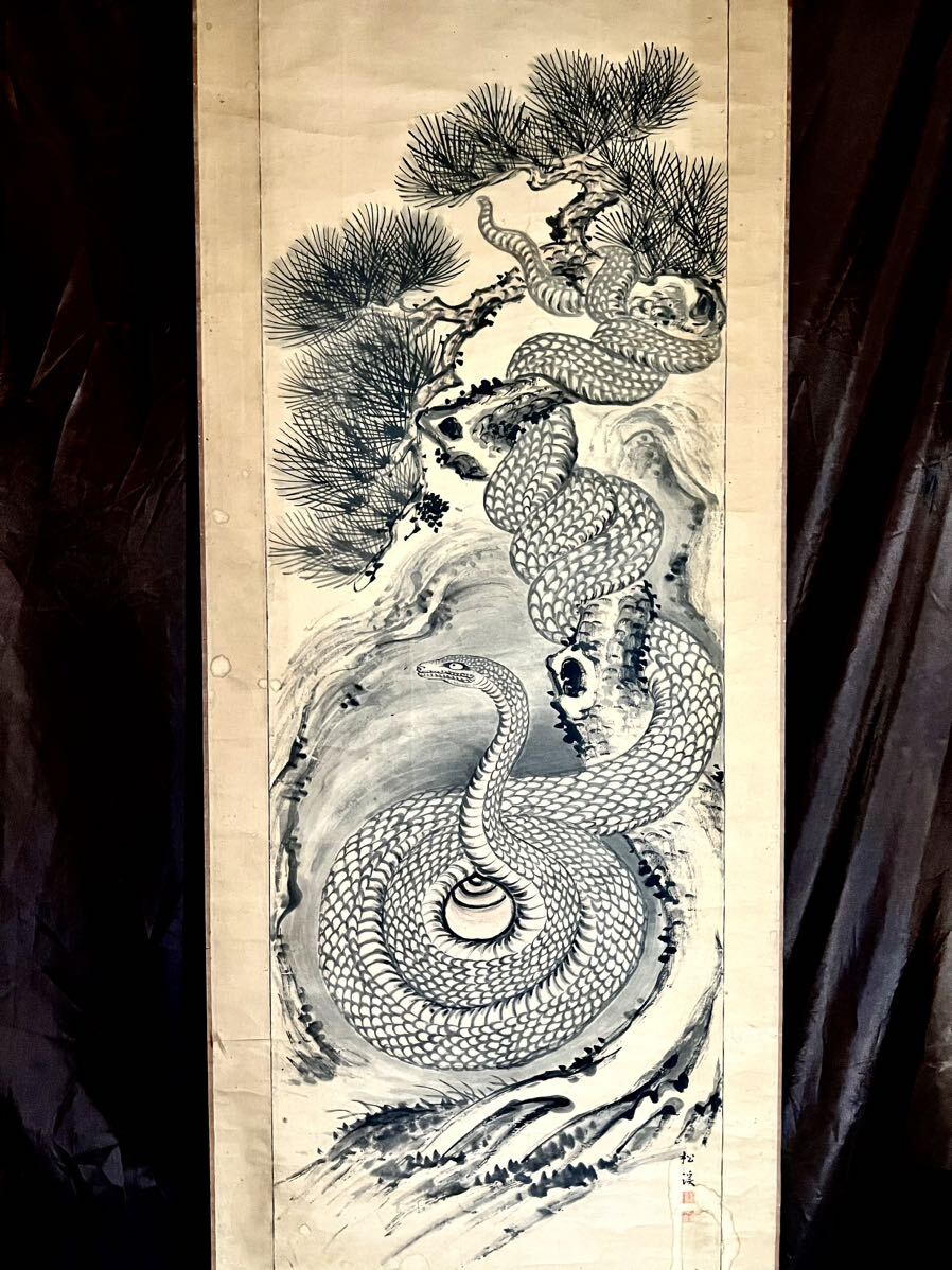 [Authentique] [S8] Shokei Koyama Un serpent géant enroulé avec un papier bijou, Peinte à la main, Photo de fleurs et d'oiseaux, Oiseau et animal, Dieu serpent, Peinture Bouddhiste, Peinture, Parchemin suspendu, Peintre Japonais De La Période Meiji, Niigata, Enseignant : Daiyongbai de la dynastie chinoise Qing, Peinture, Peinture japonaise, Fleurs et oiseaux, Faune