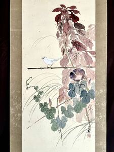 [真作] [S8] 杉山苔径「朝顔に文鳥」絹本 肉筆 花鳥図 鳥獣 茶掛け 絵画 掛軸 明治-昭和時代の日本画家 長野の人