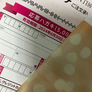 5000円分★ベルーナ 株主優待券(応募ハガキ)2024年6月30日まで有効 優待一式 