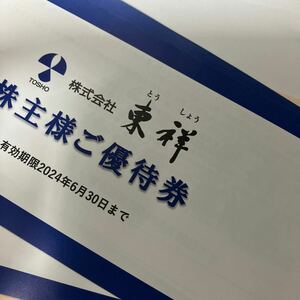 4枚セット★東祥 株主優待券 2024年6月30日まで有効 ホリデイスポーツクラブ