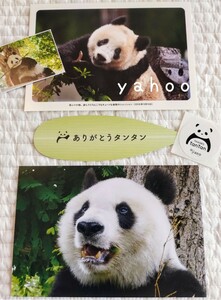 ④ タンタンとシャンシャン　ポストカード　王子動物園＆上野動物園