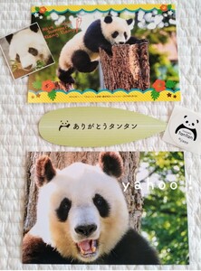 ① Tintin . car n car n postcard .. zoo & Ueno zoo 