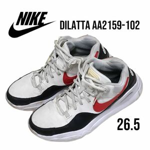 NIKE DILATTA AA2159-102 バスケットシューズ