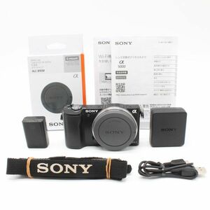 2297ショット！■ほぼ新品■ SONY α5000 ボディ ブラック