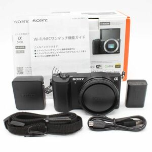 864ショット！■極上品■ SONY α5100 ボディ ブラック