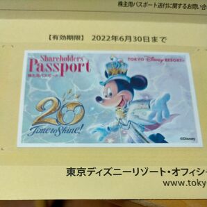 東京ディズニーリゾート 株主用パスポート2枚セット(期限切れ)