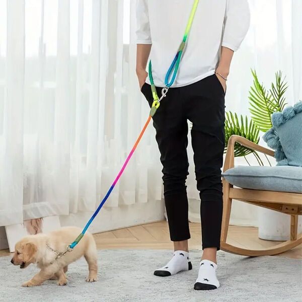 犬リード リード首輪セット Sサイズ 斜めがけ 2.5メートル 虹色 カラフル 両手空き ランニング