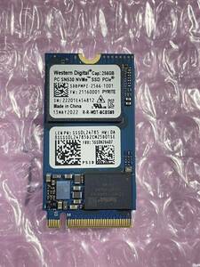 Western Digital PC SN530 M.2 256GB NVMe M.2 2242 SSD 使用時間5時間