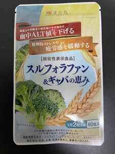 スルフォラファン ギャバの恵み 和漢の森 血中ALT値を下げる　1袋