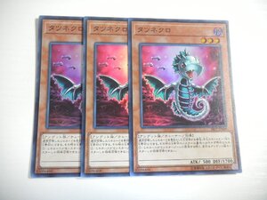 AU1【遊戯王】タツネクロ 3枚セット スーパーレア 即決