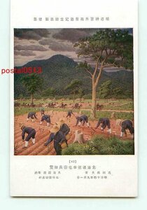 Art hand Auction C4451●Meiji Shrine Art Gallery Hokkaido Tour [Postcard], antique, collection, miscellaneous goods, Postcard