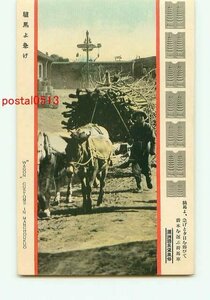 C6725●満州 薪木を運ぶロバの荷馬車【絵葉書】