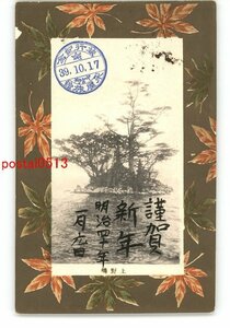 XyJ6552●栃木 中禅寺湖 上野島 エンタイア *傷み有り【絵葉書】