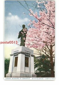 XyL0190●東京 さくらの東京 高輪泉岳寺の桜 *傷み有り【絵葉書】