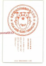 XyK6389●記念スタンプ図案印刷見本 大正5年陸軍特別大演習記念 *傷み有り【絵葉書】_画像1