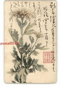 XyM0472●花絵葉書 その714 エンタイア *傷み有り【絵葉書】