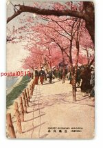 XyM5220●東京 帝都の桜花 墨堤向島 *傷み有り【絵葉書】_画像1