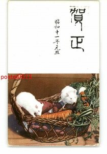 Art hand Auction XyN8163 ● Новогодняя открытка Мышь *Целая* Испорчена [Открытка], античный, коллекция, разные товары, Открытка