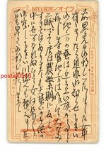 XyO7535●広告絵葉書 ライオン洗濯石鹸 *エンタイア *傷み有り【絵葉書】_画像1