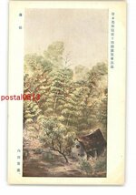 XyT3354●日本美術院第14回展覧会出品 薄陽 内田青薫 *傷み有り【絵葉書】_画像1