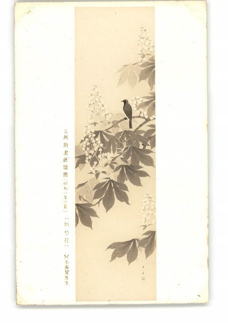 XyW5683●三越艺术展, 1933 年夏, 栃木县的花, 作者：Nozomi Kodama *已损坏 [明信片], 古董, 收藏, 杂货, 明信片