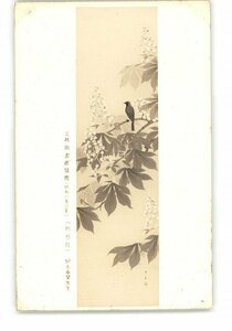Art hand Auction XyW5683●미츠코시 미술전, 1933년 여름, 도치기 꽃, by 코다마 노조미 *손상됨 [엽서], 고대 미술, 수집, 잡화, 엽서