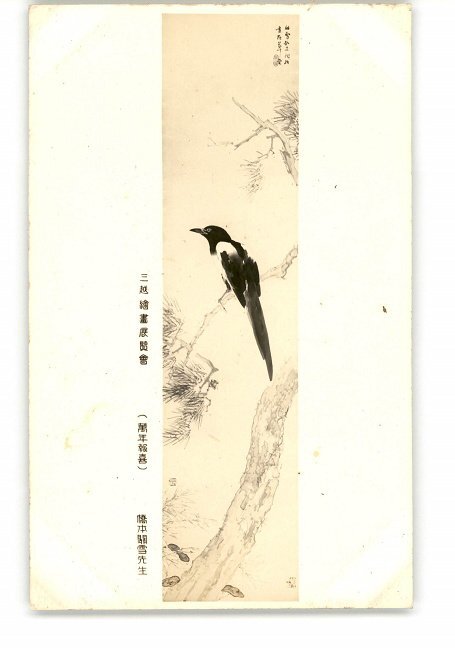 XyW7269●Mitsukoshi Art Exhibition Mannen Houki by Hashimoto Kansetsu *Damaged [Postcard], antique, collection, miscellaneous goods, Postcard