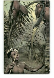 XZB8999●南洋 南洋サイパン島カナカ族人のトカゲをとる実況 *傷み有り【絵葉書】