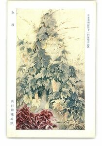 XZB9129●日本美術院第11回展覧会出品 ■枝 奥村玲瓏氏筆 *傷み有り【絵葉書】