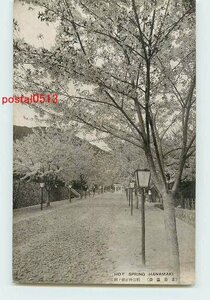 Xf5108●岩手 花巻温泉 稲荷神社前の桜【絵葉書】