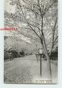 Xp3147●岩手 花巻温泉 稲荷神社前桜【絵葉書】