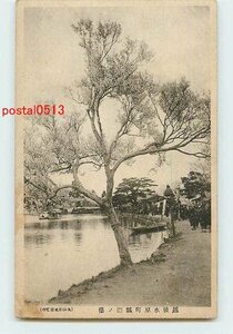 Xp3144●新潟 水原町 瓢湖の桜【絵葉書】