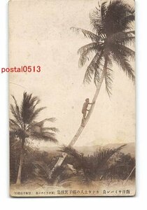 XyA5080●南洋 南洋サイパン島 カナカ土人の椰子実採集 *折れ有り【絵葉書】