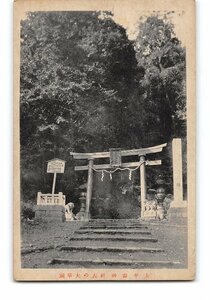 XyE4613●栃木 太平山神社 社表の大華銅 *傷み有り【絵葉書】