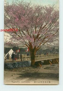 R7225●京都 手彩色 渡月橋畔の桜 t 【絵葉書】
