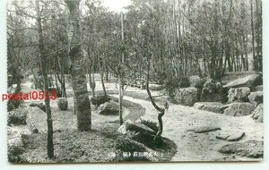 F3998●福岡 武蔵温泉 大丸館別荘 庭園【絵葉書】