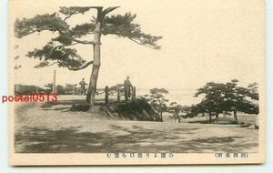 E9780●山形 酒田 公園より港口【絵葉書】