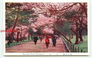 D1501●金沢 兼六公園 入口の桜【絵葉書】